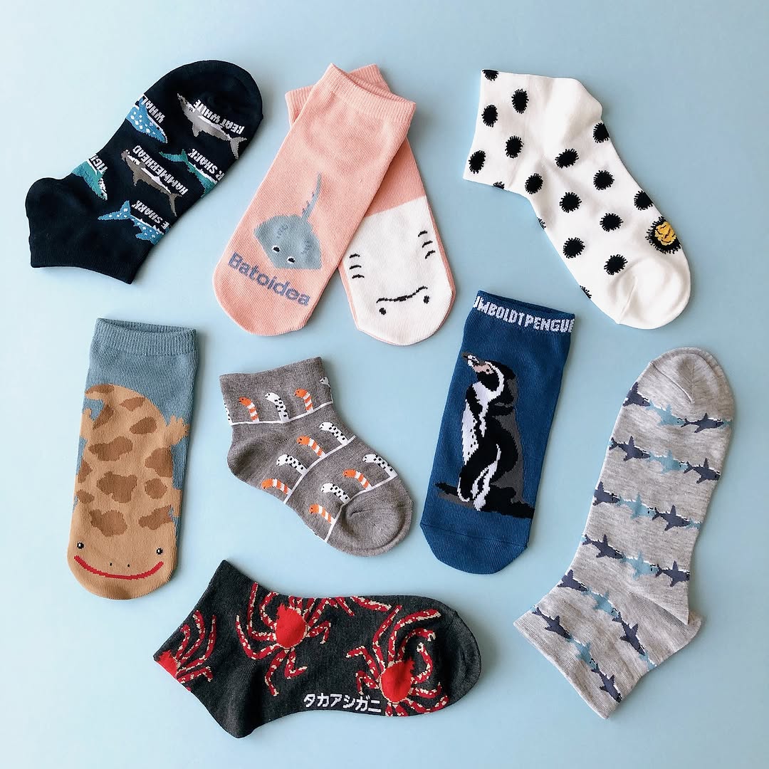 キャンドゥ 海の生き物靴下