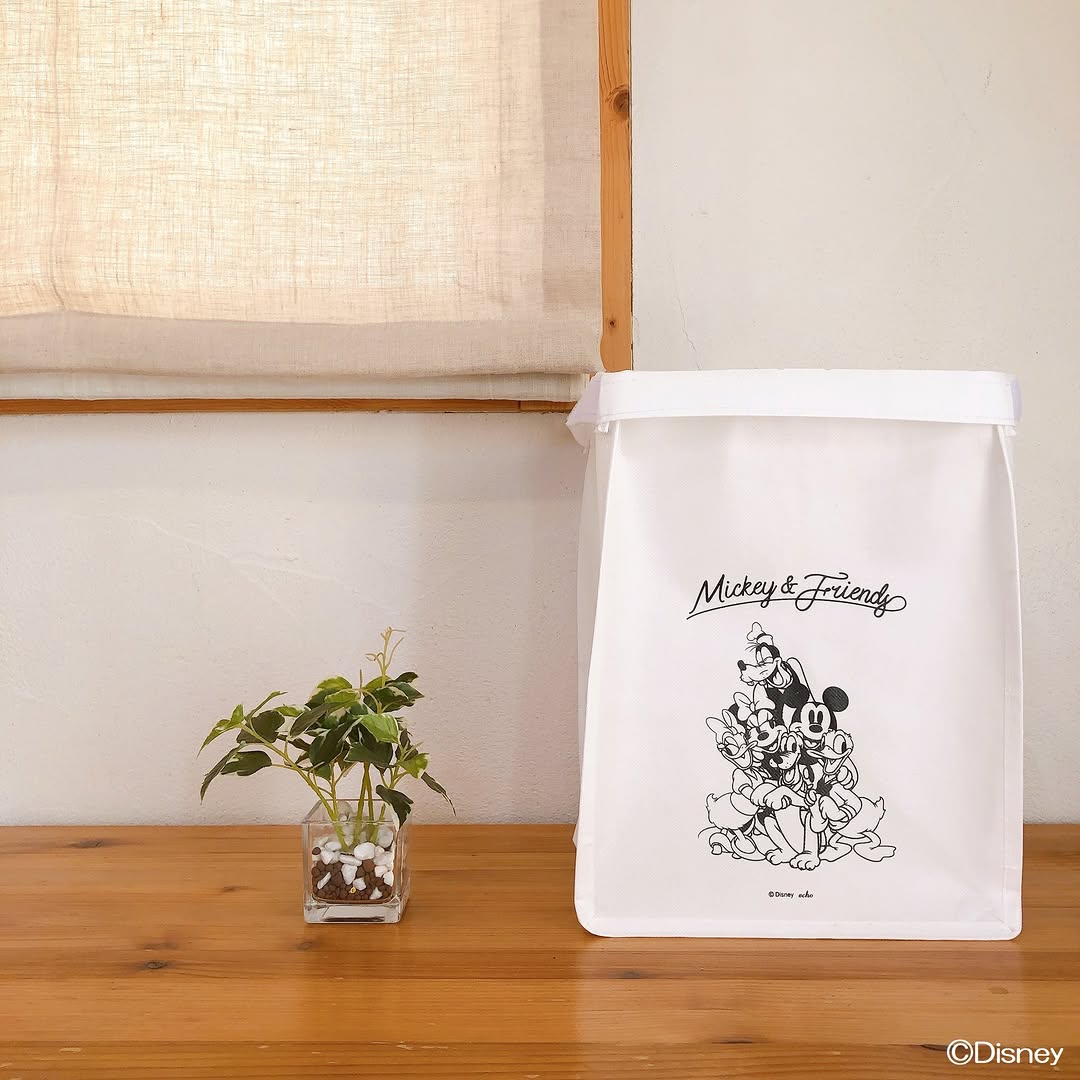 キャンドゥ ディズニー収納ボックス ミッキー