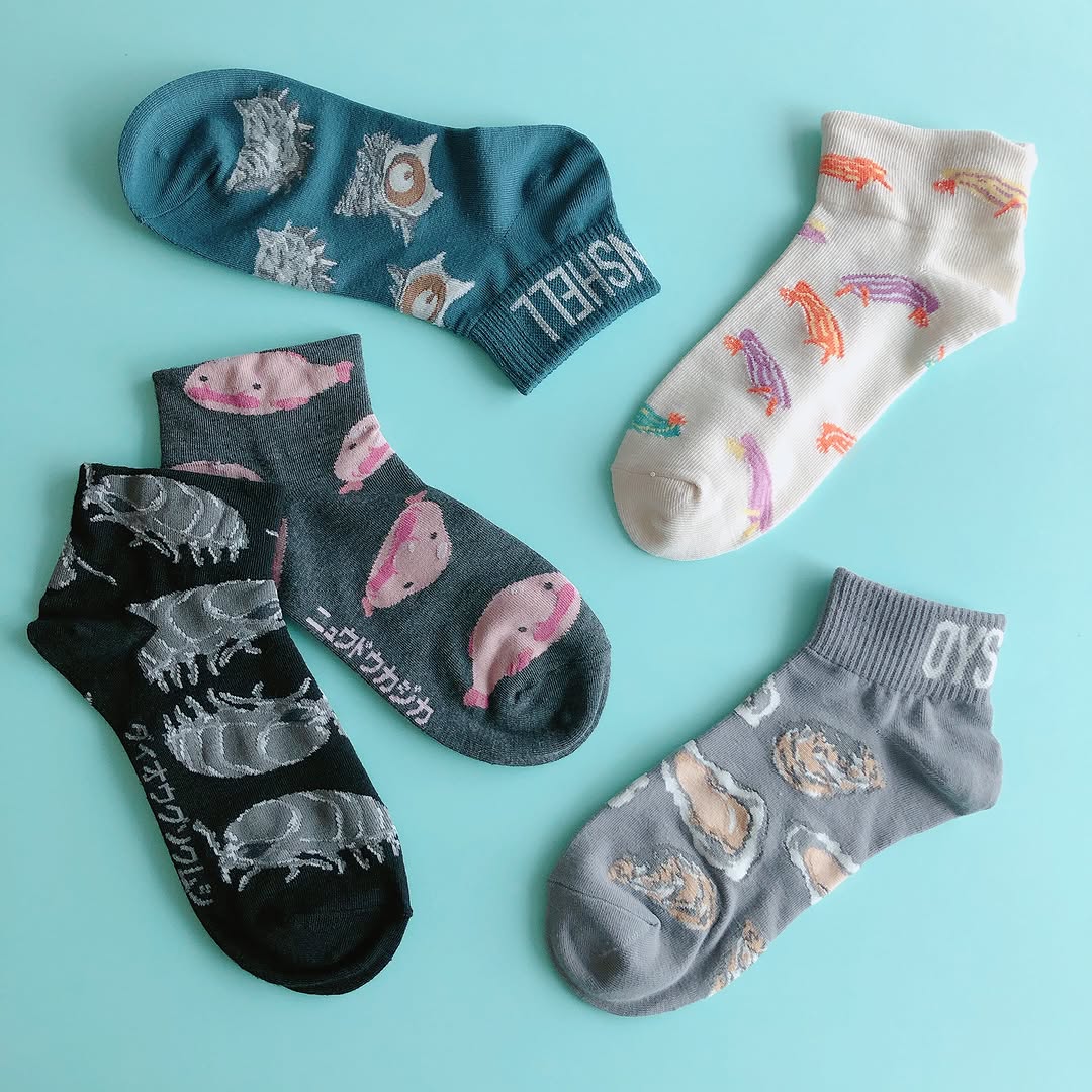 キャンドゥ 海洋生物ソックス