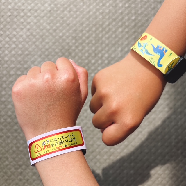 キャンドゥ インフォバンド2P